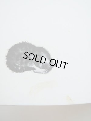 画像7: サムイル・マルシャーク/ウラジミール・レーベジェフ「おひげのとらねこちゃん」