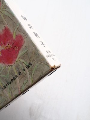 画像4: 神沢利子/平山英三「いないいないばあや」