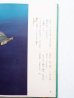 画像4: 朝倉摂/与田凖一「ポプラ星」 (4)