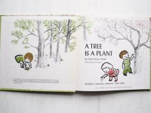 詳細画像1: CLYDE ROBERT BULLA/LOIS LIGNELL「A TREE IS A PLANT」