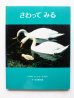 画像6: マーシャ・ブラウン/谷川俊太郎「めであるく・かたちをきく・さわってみる」3冊セット