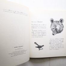 詳細画像1: リダ・フォッシュ/フェードル・ロジャンコフスキー「くまのブウル」