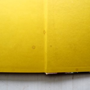 画像7: イレーナ・ユルギェレビチョーバ/ヤーヌシ・グラビアンスキー「しあわせなちょうちょう」