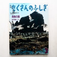 寺沢孝毅「海鳥の島」＊たくさんのふしぎ