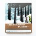 画像2: マーガレット・ワイズ・ブラウン/バーバラ・クーニー「ちいさなもみのき」＊初版 (2)