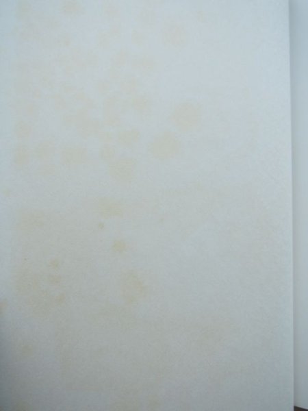 画像3: 早川良雄/豪田勝「ジェニーの夏休み」 (3)