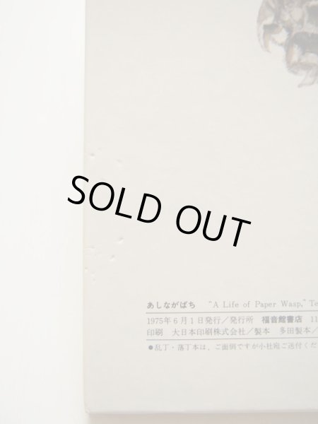 画像3: 甲斐 信枝「あしながばち」 (3)