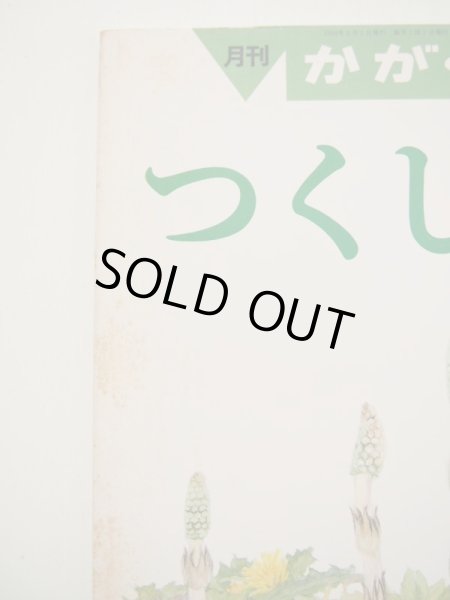 画像3: 甲斐 信枝「つくし」 (3)