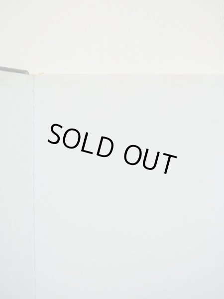 画像3: マルタ・コチ/ヘルマン・ハスリンガー「クリストルのこねこ」 (3)