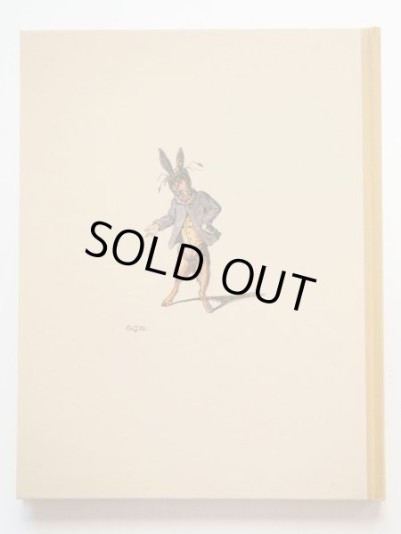 画像3: ルイス・キャロル/ジョン・テニエル「THE NURSERY ALICE」＊複刻版 (3)