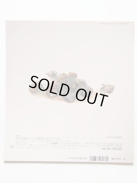 画像2: 今福道夫/金尾恵子「やどかりくんのうちさがし」＊付録付き (2)