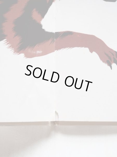 画像5: イエラ・マリ「MANGIA CHE TI MANGIO」 (5)