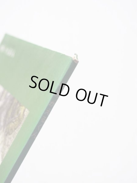 画像3: マーサー・メイヤー「やあかえるくん」 (3)