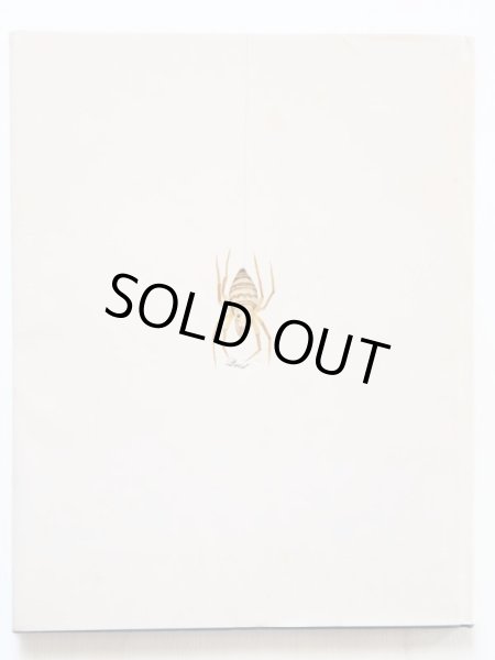 画像2: エレノア・シュミット/エチエンヌ・ドゥレセール「THE ENDLESS PARTY」 (2)