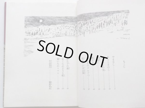 画像3: 宮沢賢治/中谷千代子「ふた子の星　新版宮沢賢治童話全集　2」 (3)