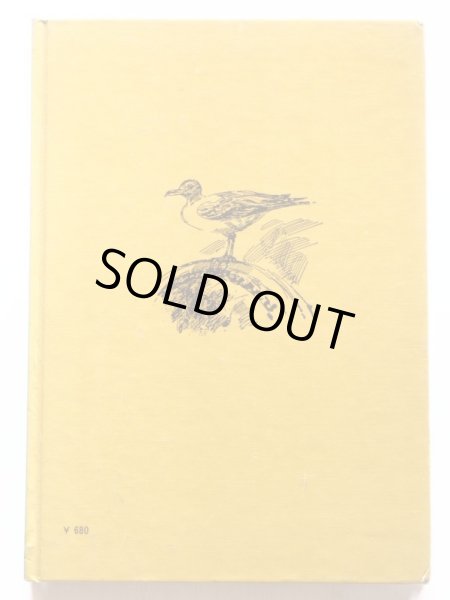 画像2: ペネロープ・ファーマー「ぼくのカモメ」＊岩波ようねんぶんこ (2)