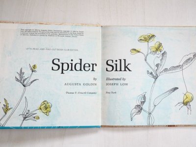 画像1: AUGUSTA GOLDIN/JOSEPH LOW「SPIDER SILK」