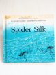 画像1: AUGUSTA GOLDIN/JOSEPH LOW「SPIDER SILK」 (1)