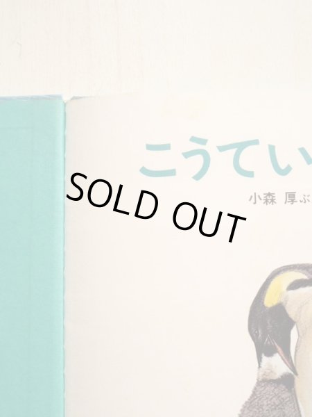 画像3: 小森厚/藪内正幸「こうていぺんぎん」 (3)