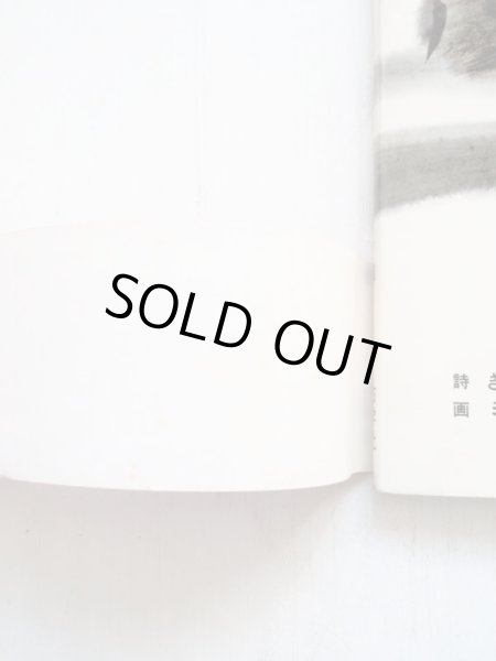 画像5: 木島始/ミルコ・ハナーク「もりのうた」 (5)