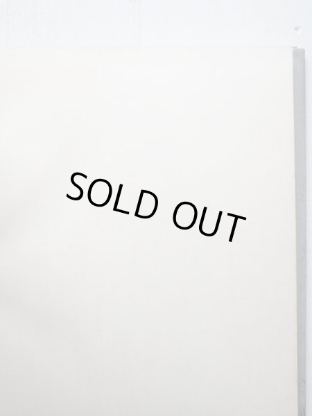 画像3: フランシス・ハマーストロム/ロバート・カトーナ「満月の夜のさんぽ」 (3)