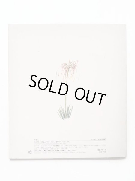 画像2: 甲斐信枝「ひがんばな」＊付録付き (2)