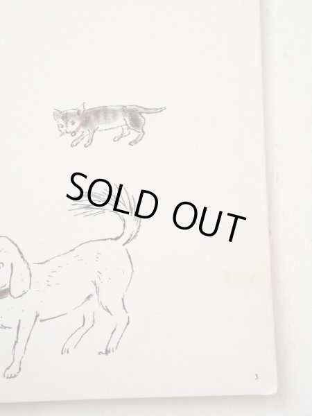 画像4: 中谷千代子「ぼくのうちのどうぶつえん」 (4)