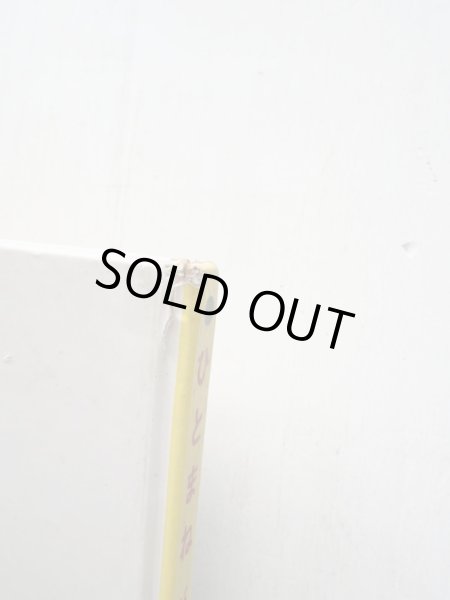 画像3: さいごうたけひと/やまださぶろう「ひとまねがちょう」 (3)