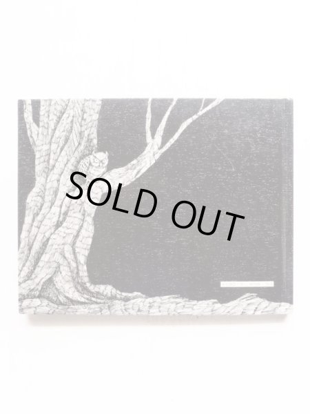 画像2: チェリ・デュラン・ライアン/アーノルド・ローベル「よるのきらいなヒルディリド」 (2)