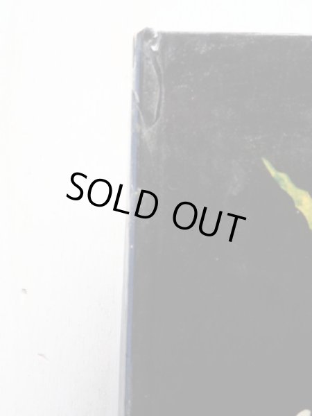 画像3: レグコビット「おえかきだいすき」 (3)