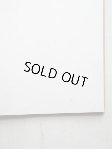 画像3: フランクリン・M・ブランリー/ポール・ガルドーン「高い音ひくい音」 (3)