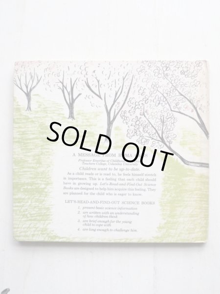 画像2: CLYDE ROBERT BULLA/LOIS LIGNELL「A TREE IS A PLANT」 (2)