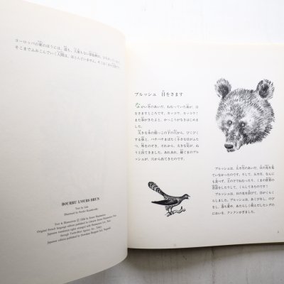 画像1: リダ・フォッシュ/フェードル・ロジャンコフスキー「くまのブウル」