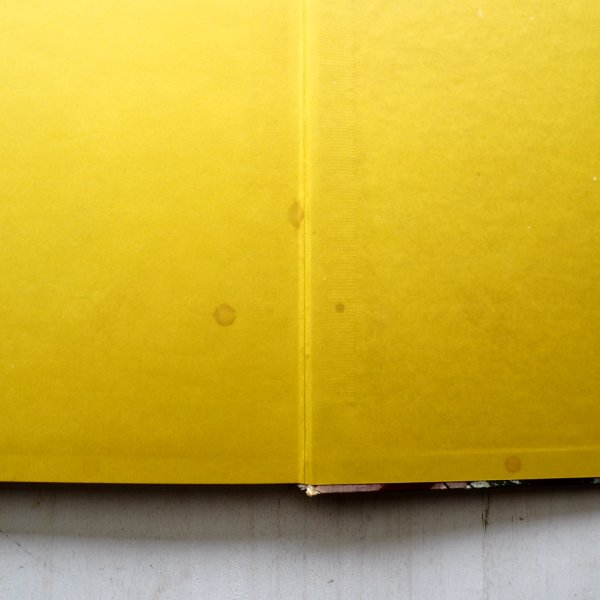 画像7: イレーナ・ユルギェレビチョーバ/ヤーヌシ・グラビアンスキー「しあわせなちょうちょう」 (7)