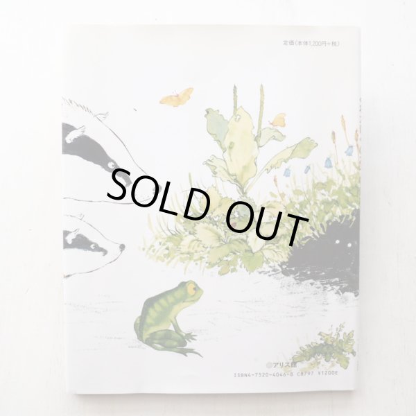 画像2: ロン・マリス「どれがぼくのおうちになるのかな？」 (2)