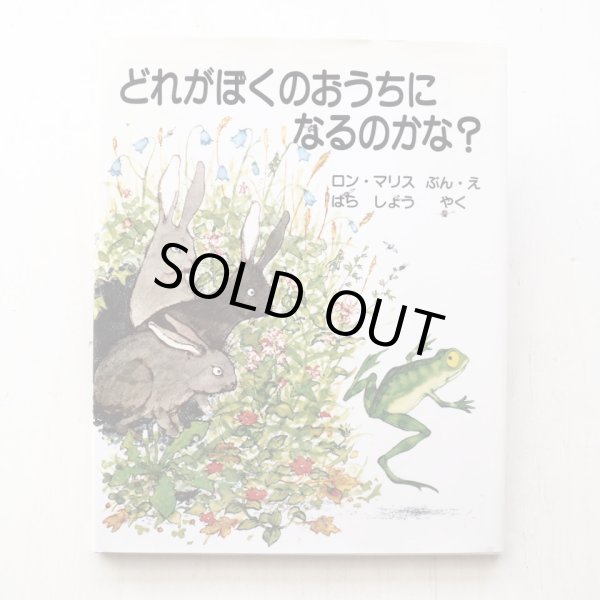 画像1: ロン・マリス「どれがぼくのおうちになるのかな？」 (1)
