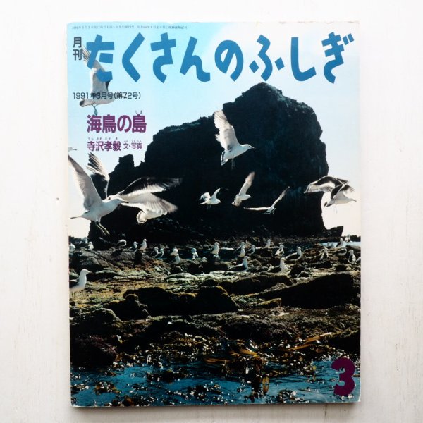 画像1: 寺沢孝毅「海鳥の島」＊たくさんのふしぎ (1)