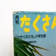 画像3: 重井隆夫/夏目義一「つばさをもった恐竜族」 (3)