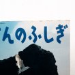 画像3: 寺沢孝毅「海鳥の島」＊たくさんのふしぎ (3)