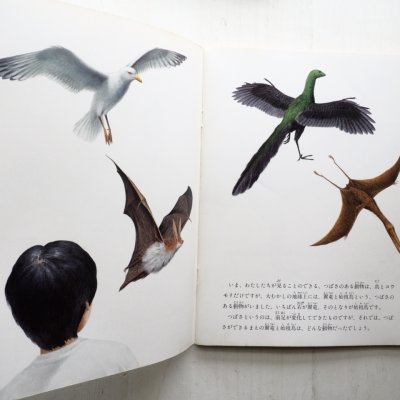 画像1: 重井隆夫/夏目義一「つばさをもった恐竜族」