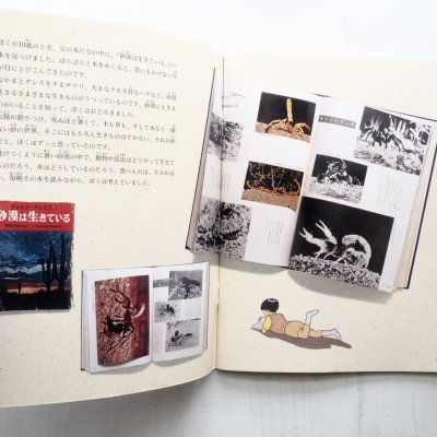 画像1: 山口進「砂漠の虫の水さがし」